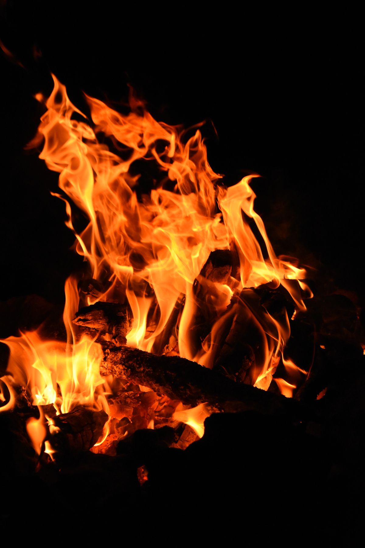 A Bonfire in the Dark · Free Stock Photo