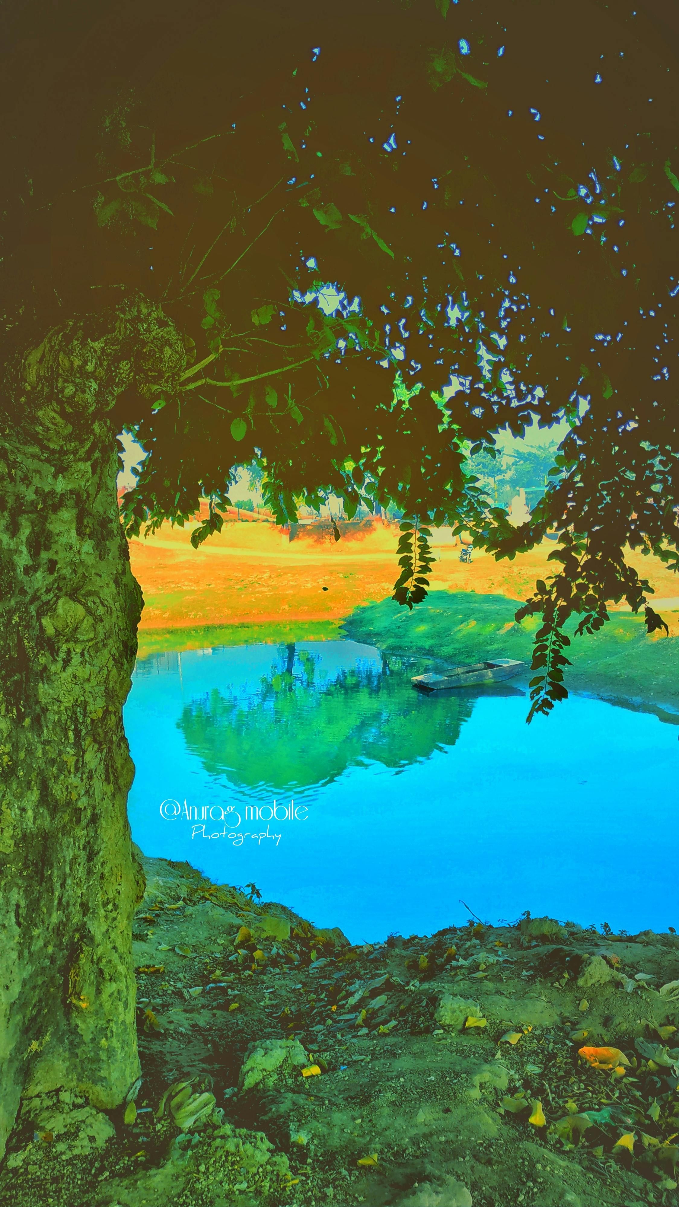 Swelling After Knee Replacement