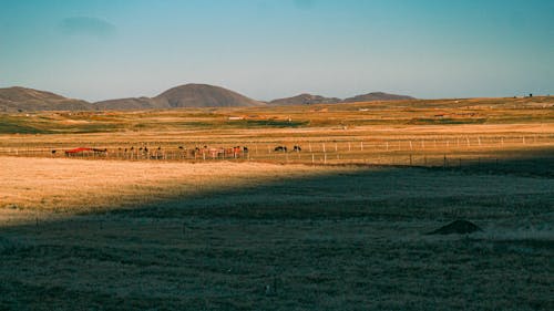 Gratis stockfoto met akkers, boerderij, heuvels