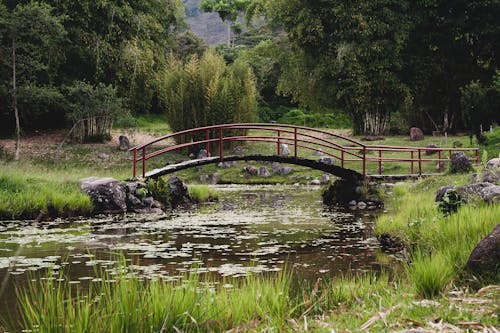 Footbridge on River in Park