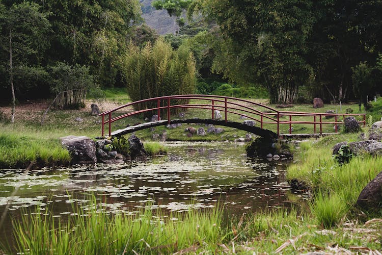 Footbridge On River In Park