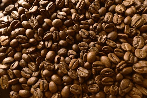 Free Close-up of Coffee Beans Stock Photo