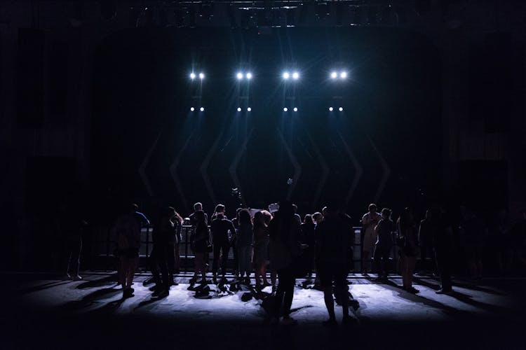 Silhouette Photography Of People On Theater