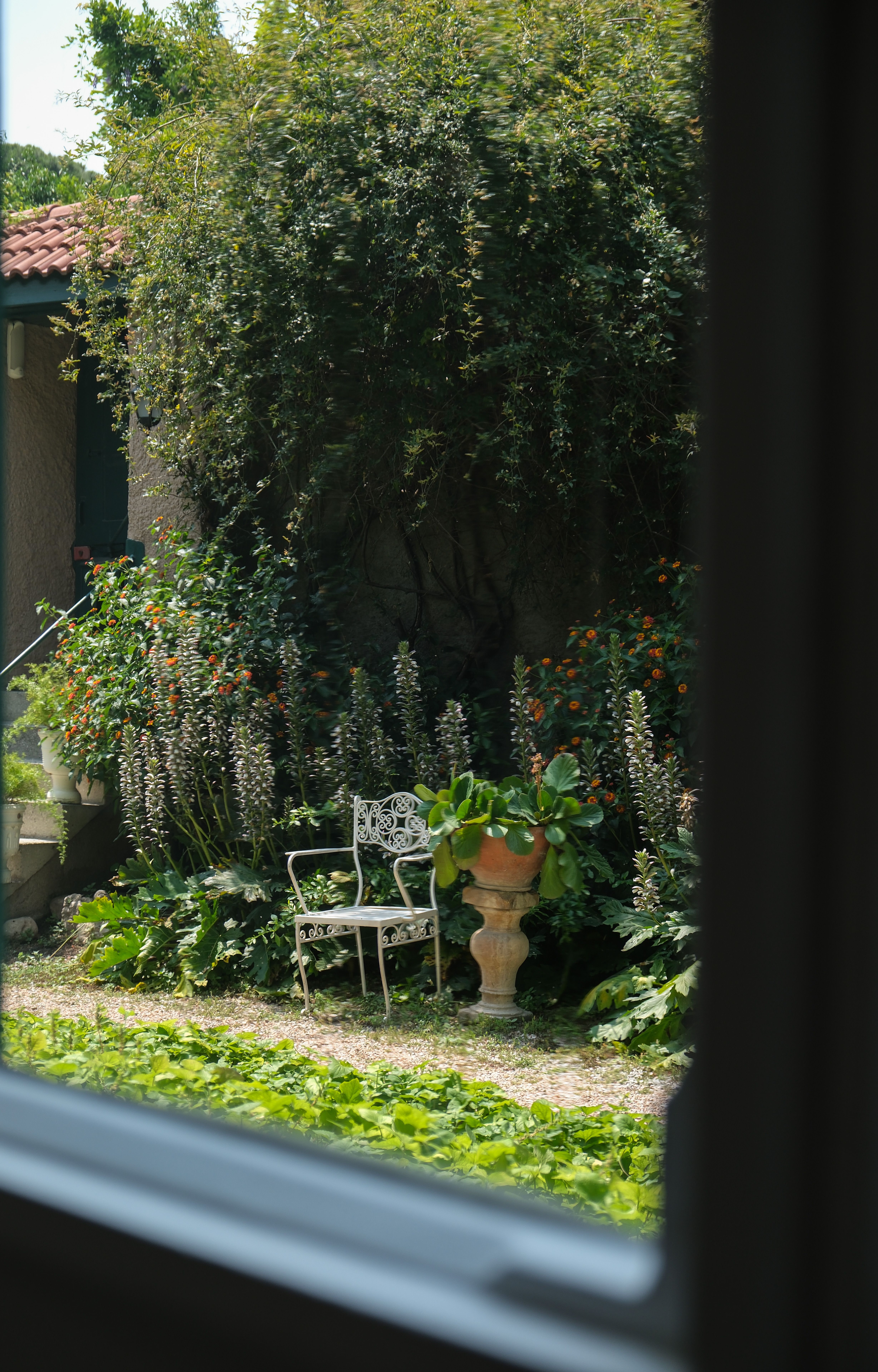 low green shrubs planted along the edge of a small patio to block street views