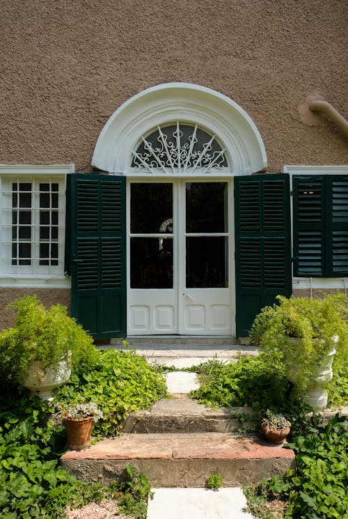 Plants and House Door behind