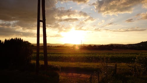 日出时的绿色领域风景照片