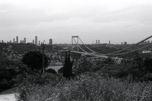 Ingyenes stockfotó bosphorus, fatih szultán mehmet híd, fekete-fehér témában