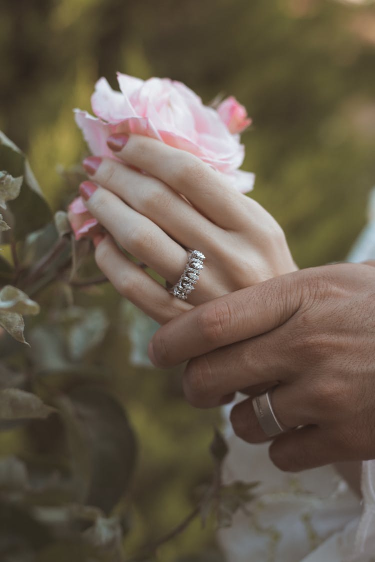 Close Up Of Couple Hands And Rose