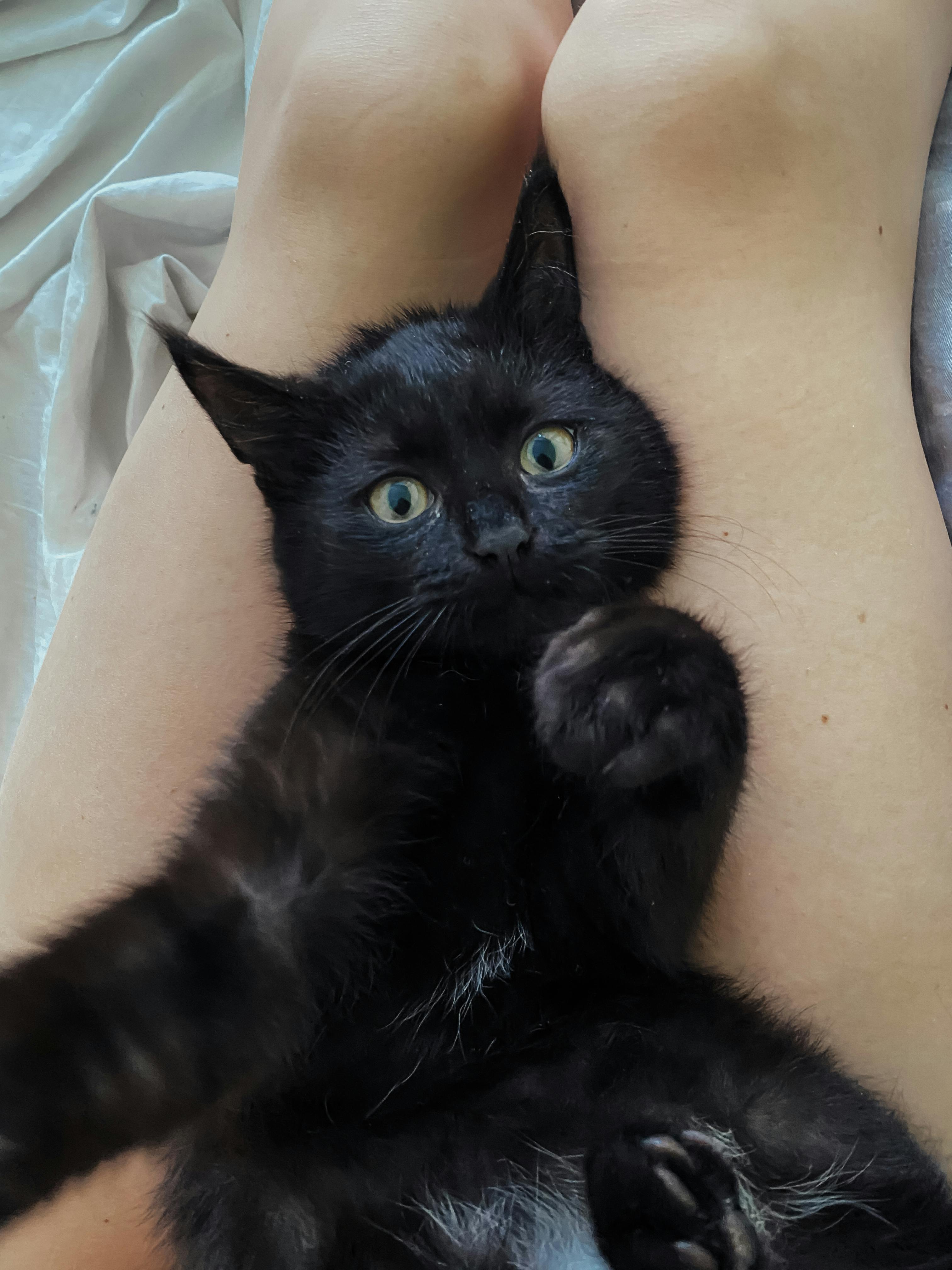 Alisa Foxy - Photography