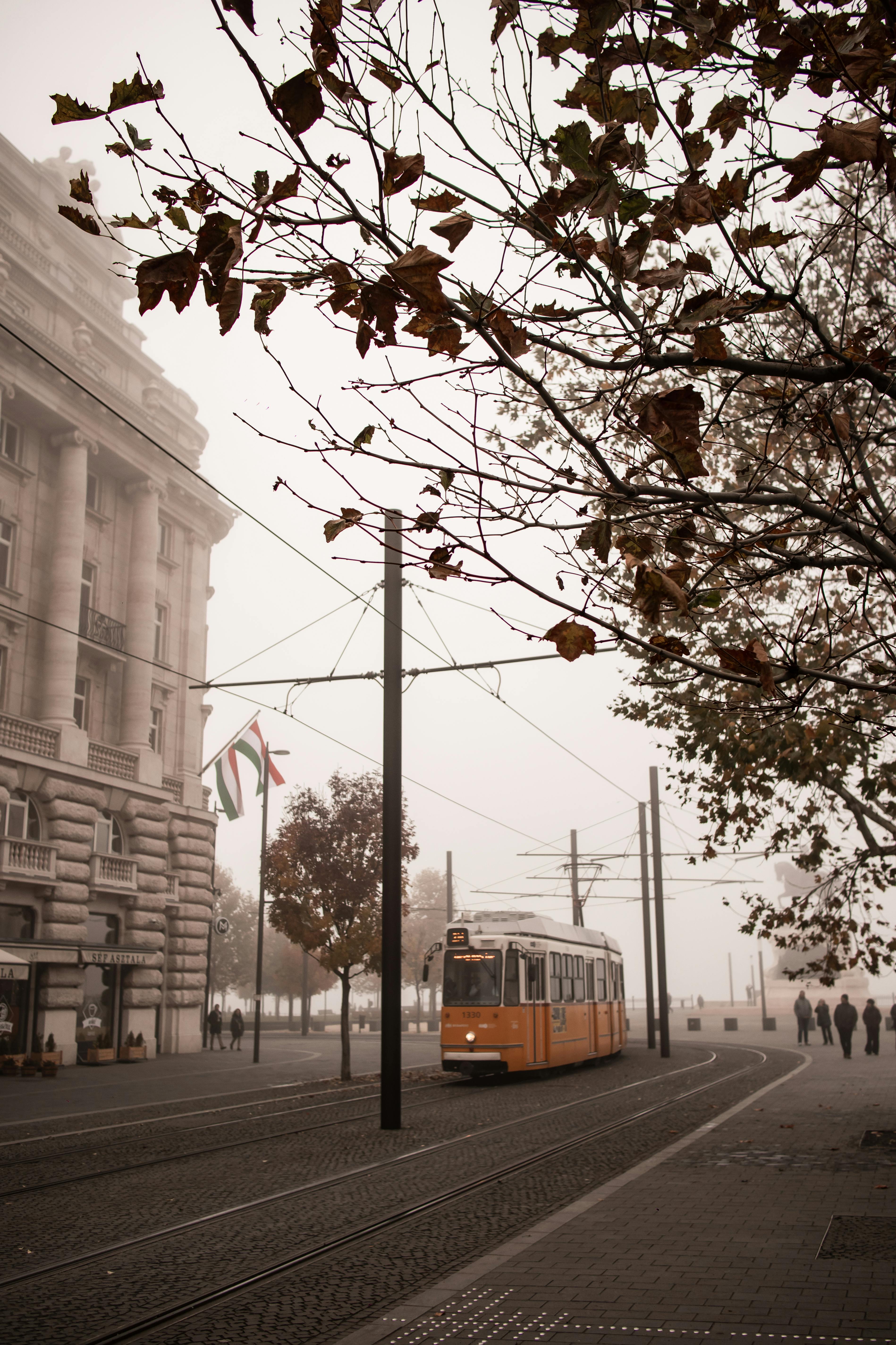 A tram travels through a misty Budapest street, showcasing urban life in autumn.