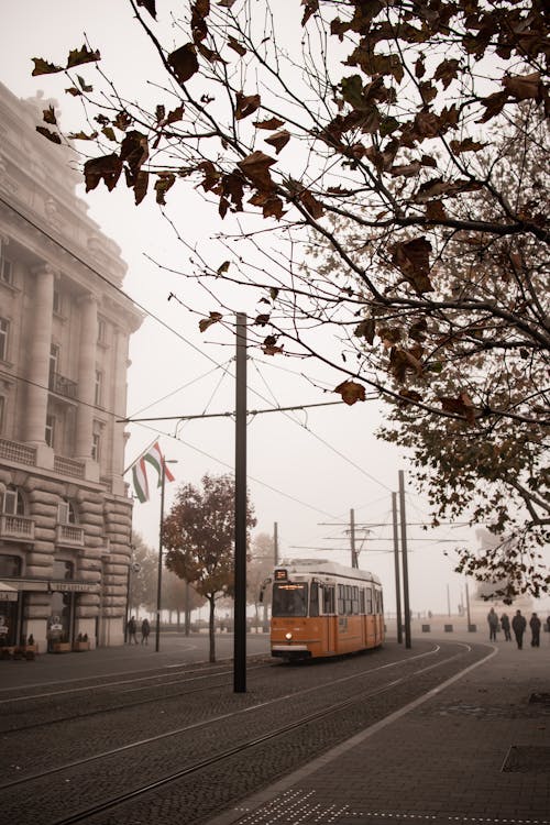 Gratis stockfoto met autorijden, Boedapest, bomen