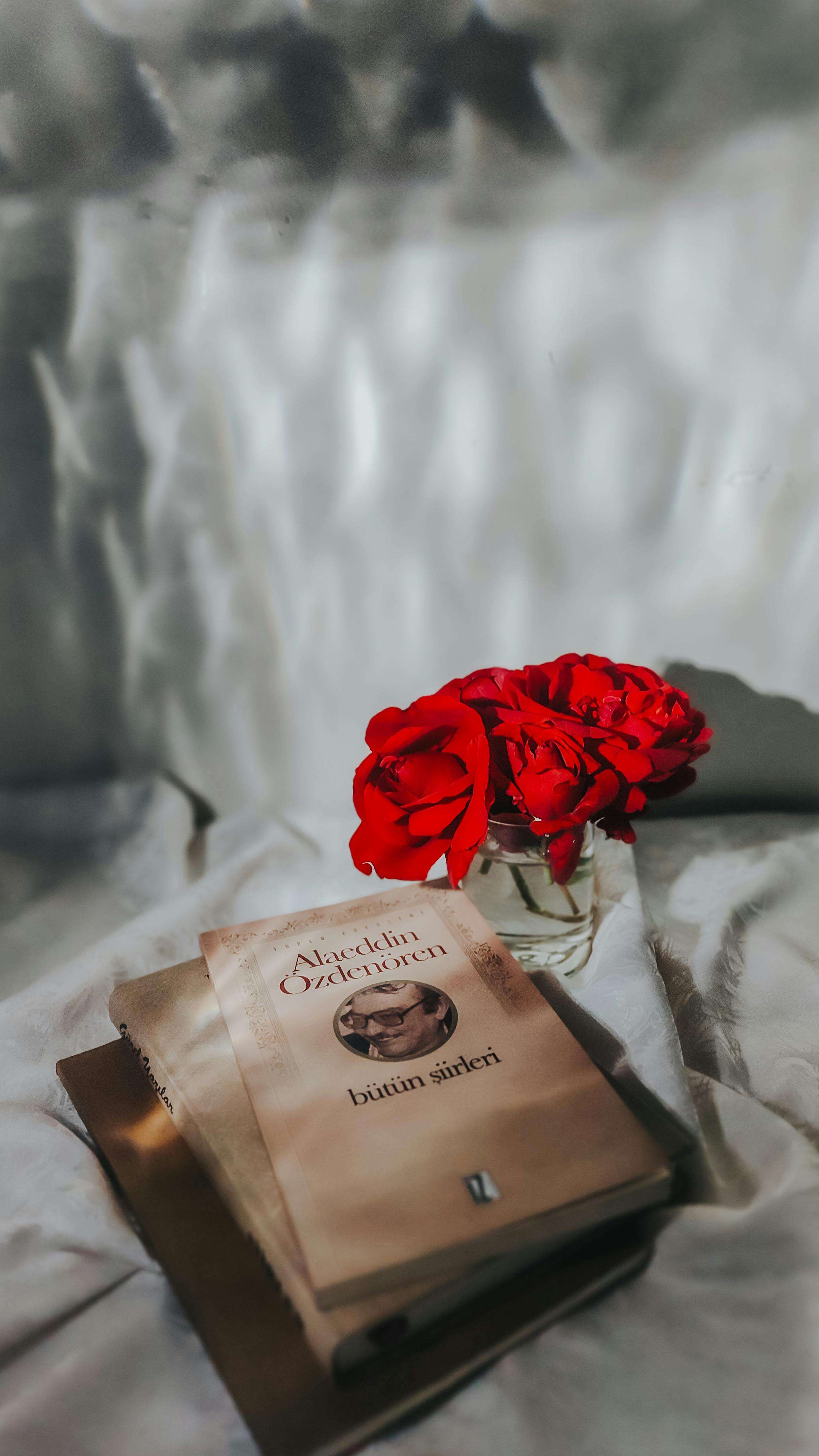 A book beside vibrant red roses on a soft bed, perfect for a relaxing read.