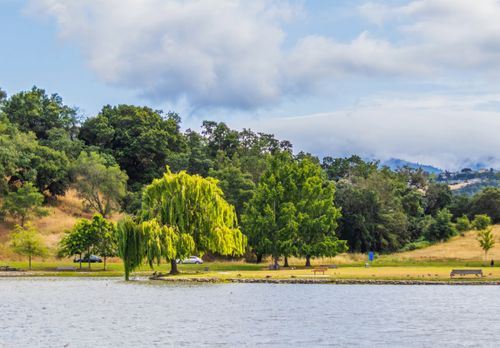 Free Beautiful lake view with willow trees and hills under a cloudy sky, offering serene scenery. Stock Photo