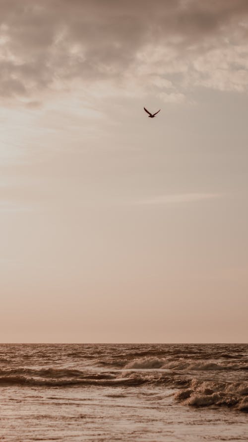 Безкоштовне стокове фото на тему «вертикальні постріл, море, океан»