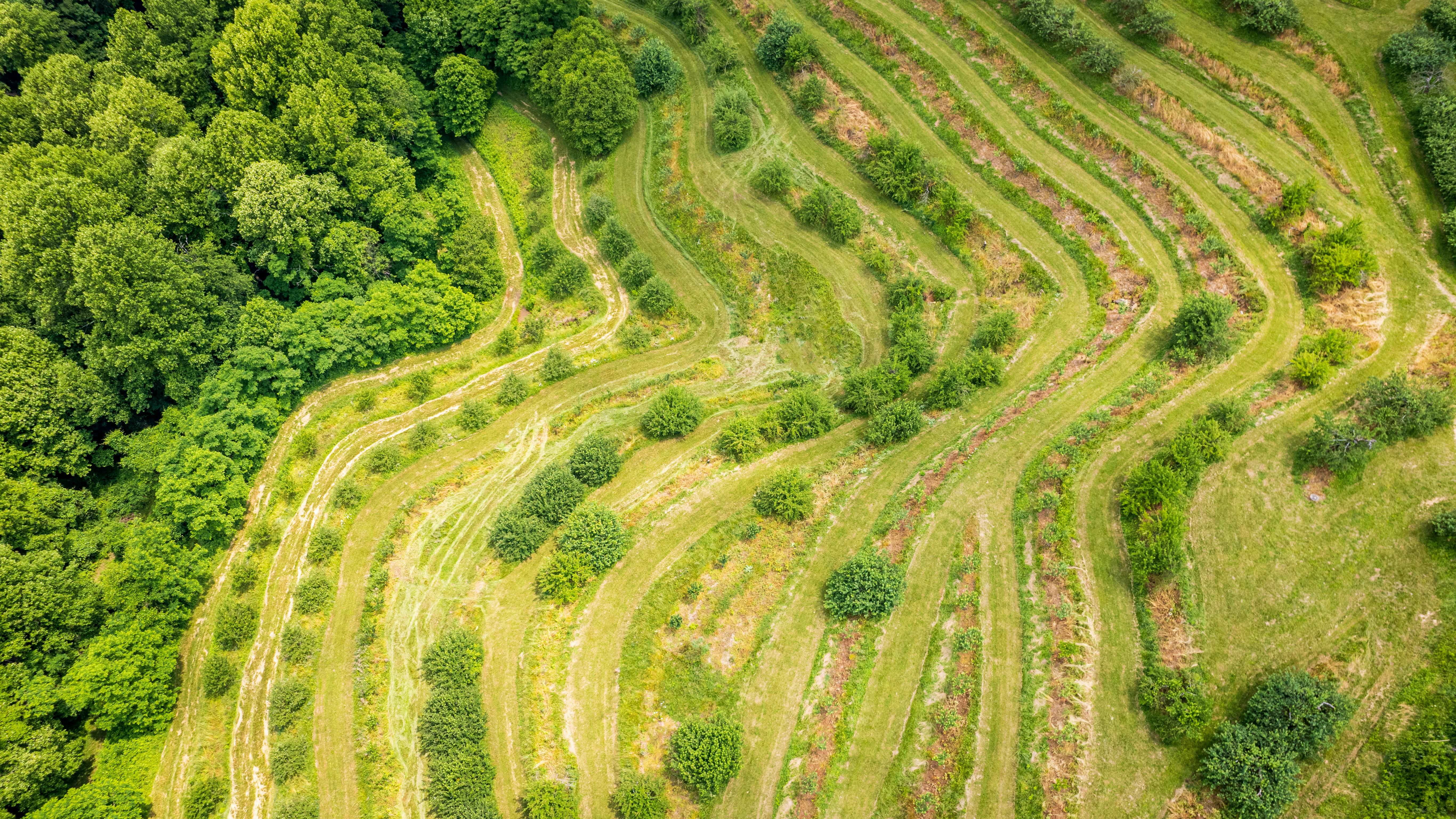 Terrace farming steep hi-res stock photography and images - Alamy