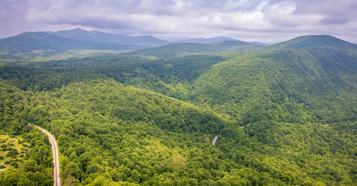 Scenic aerial view of a lush green forest stretching across the summer mountains in Spruce Pine, NC.