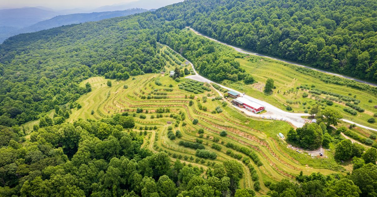 Lush green terraced landscape in Spruce Pine, North Carolina captured from above.