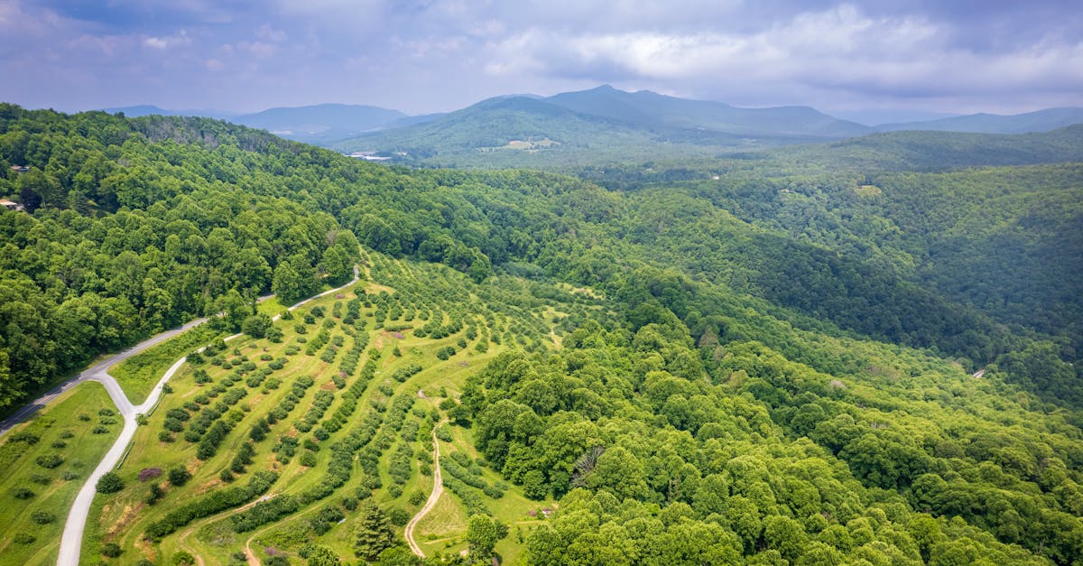 Overcast over Green Hills · Free Stock Photo