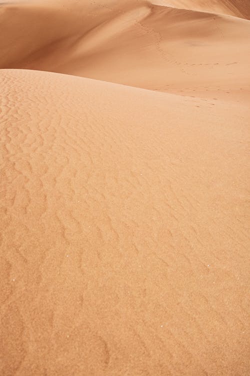 Free Sand Dune in National Park in Colorado, USA Stock Photo