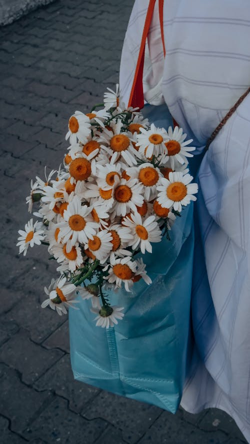 Free stock photo of bag, beautiful, beautiful flower Stock Photo