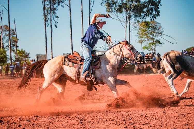 Man On Horse In Rodeo