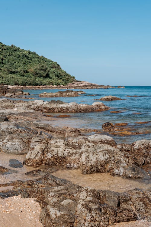 View of a Rocky Shore under Clear Blue Sky 