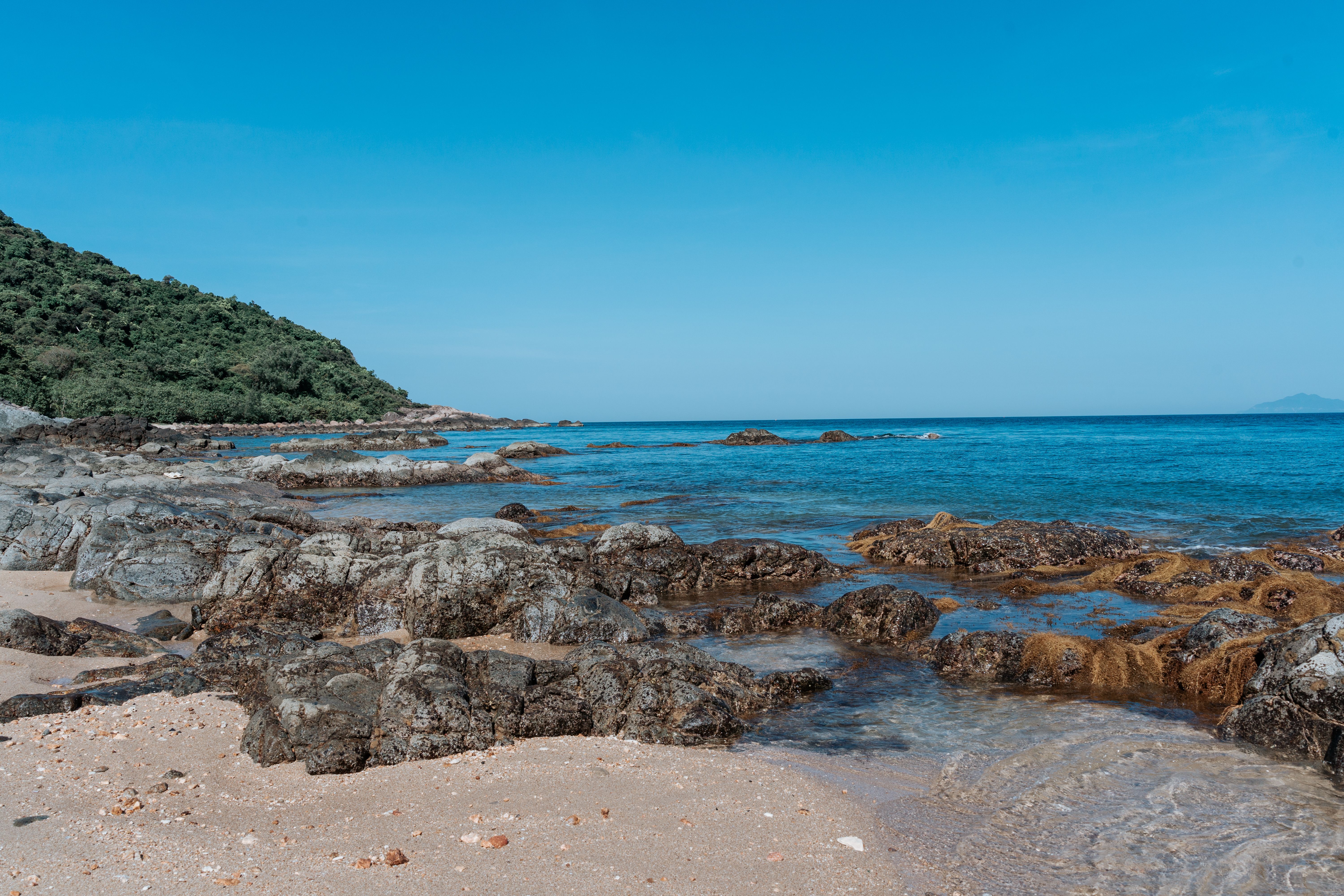 Sea Shore with Rocks · Free Stock Photo