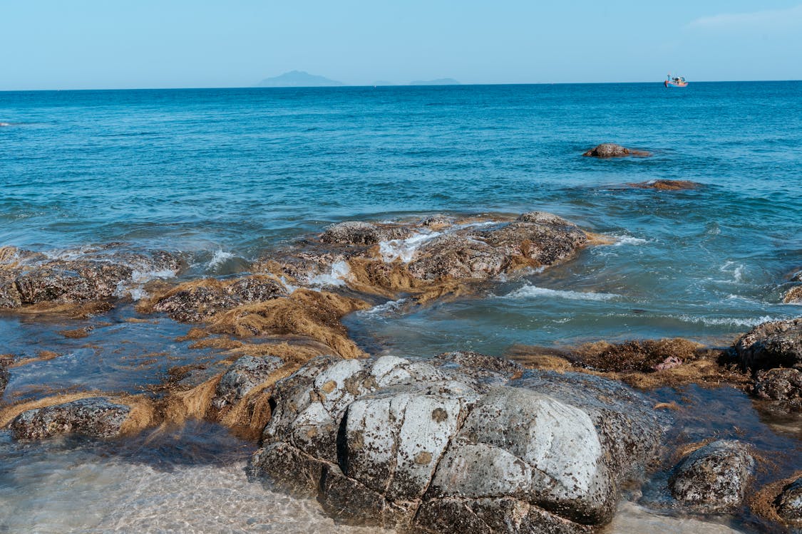 View of a Rocky Shore under Clear Blue Sky 