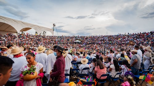 Kostnadsfri bild av ceremoni, festival, firande