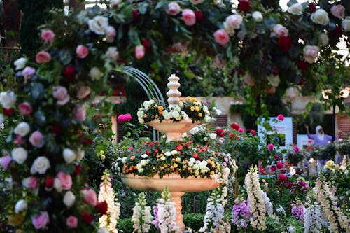 Foto profissional grátis de arranjo de flores, beleza, cheio de cor