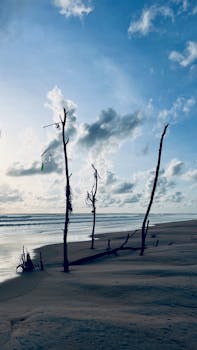 Tranquil scene of Mobor Beach in India, featuring driftwood trees and a dramatic sky.
