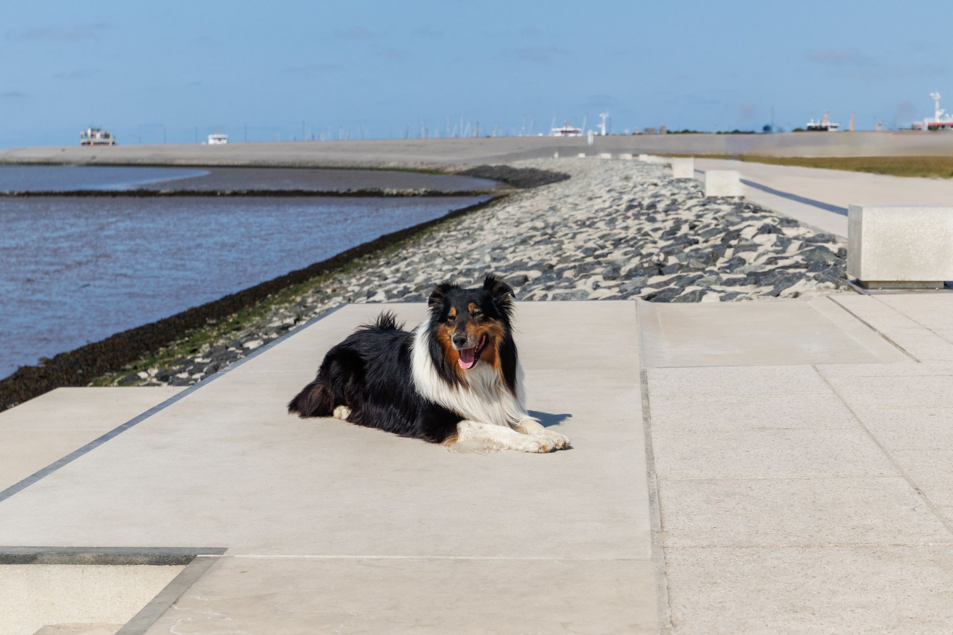 Onderzoek naar bescherming Schiermonnikoog tegen overstromingen