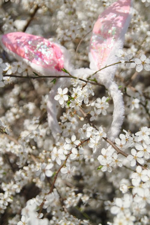 Free Delicate spring blossoms entwined with a playful pink rabbit ears headband, evoking whimsy. Stock Photo