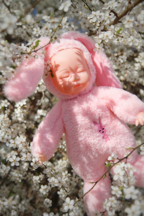 Pink Doll on Cherry Tree