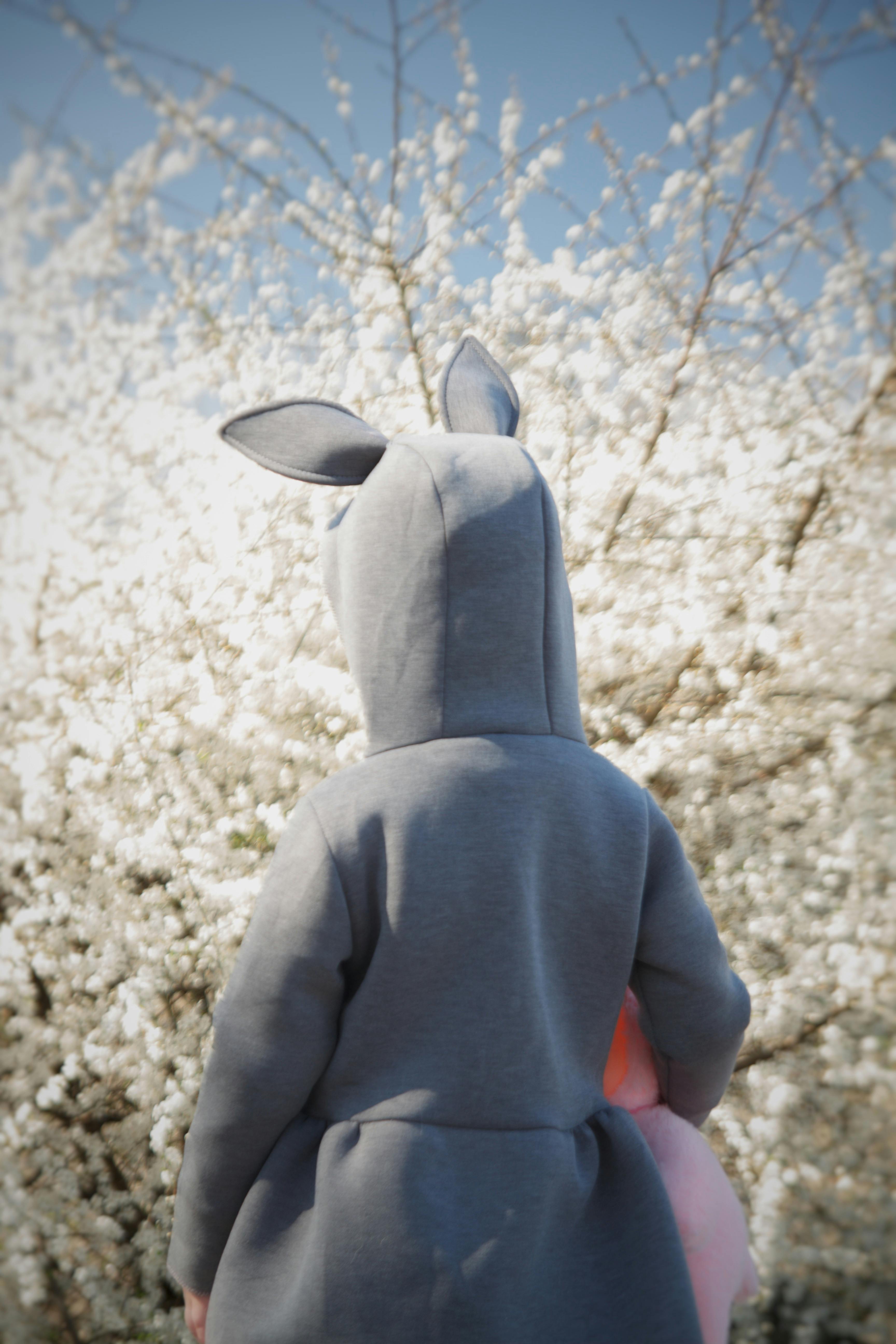 Person in Rabbit Costume · Free Stock Photo