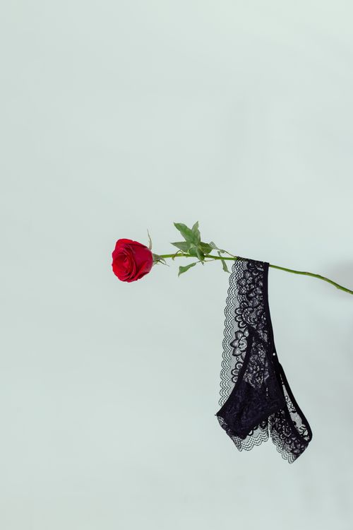 Free A red rose delicately holds black lace underwear against a soft background. Stock Photo