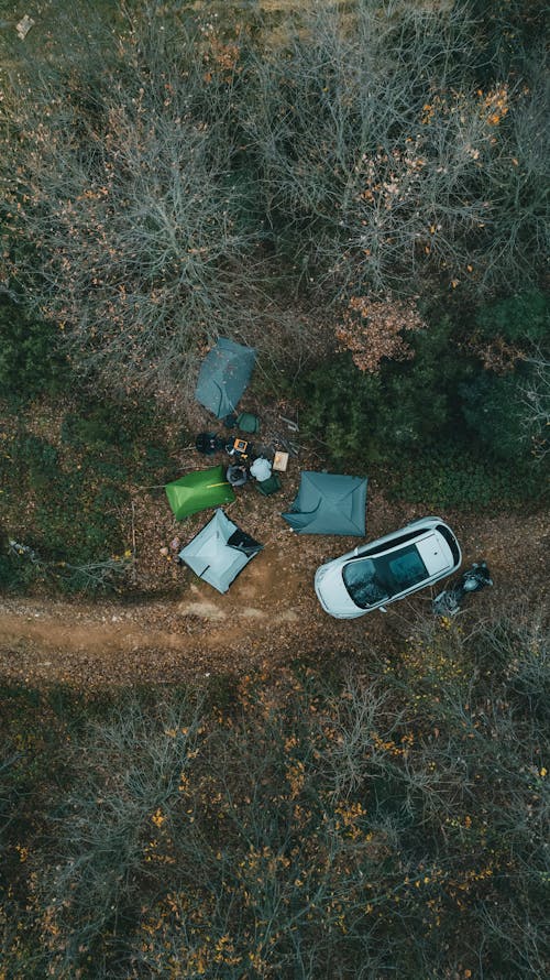 Camping with Car in Forest
