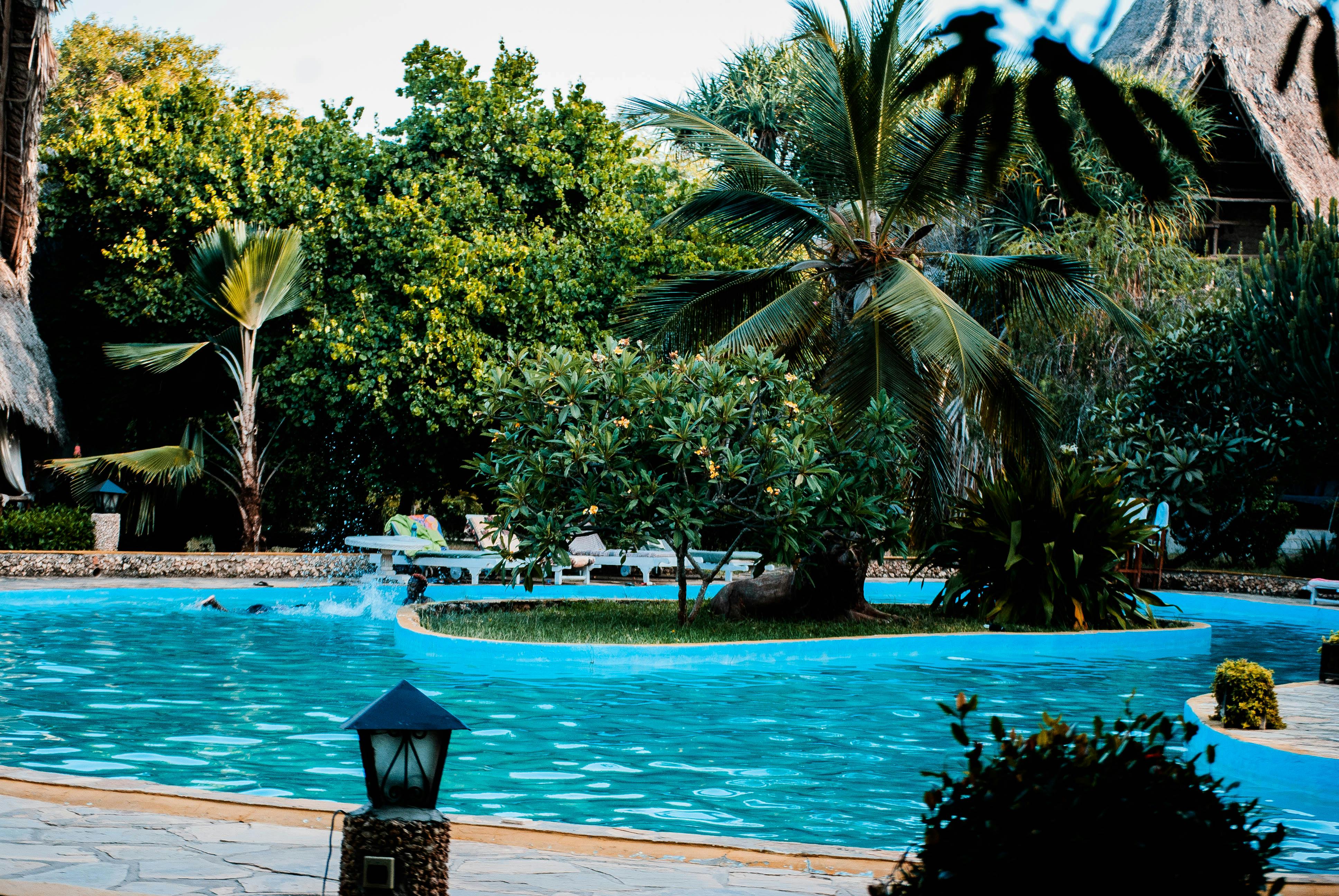 Fishing pool surrounded by trees hi-res stock photography and