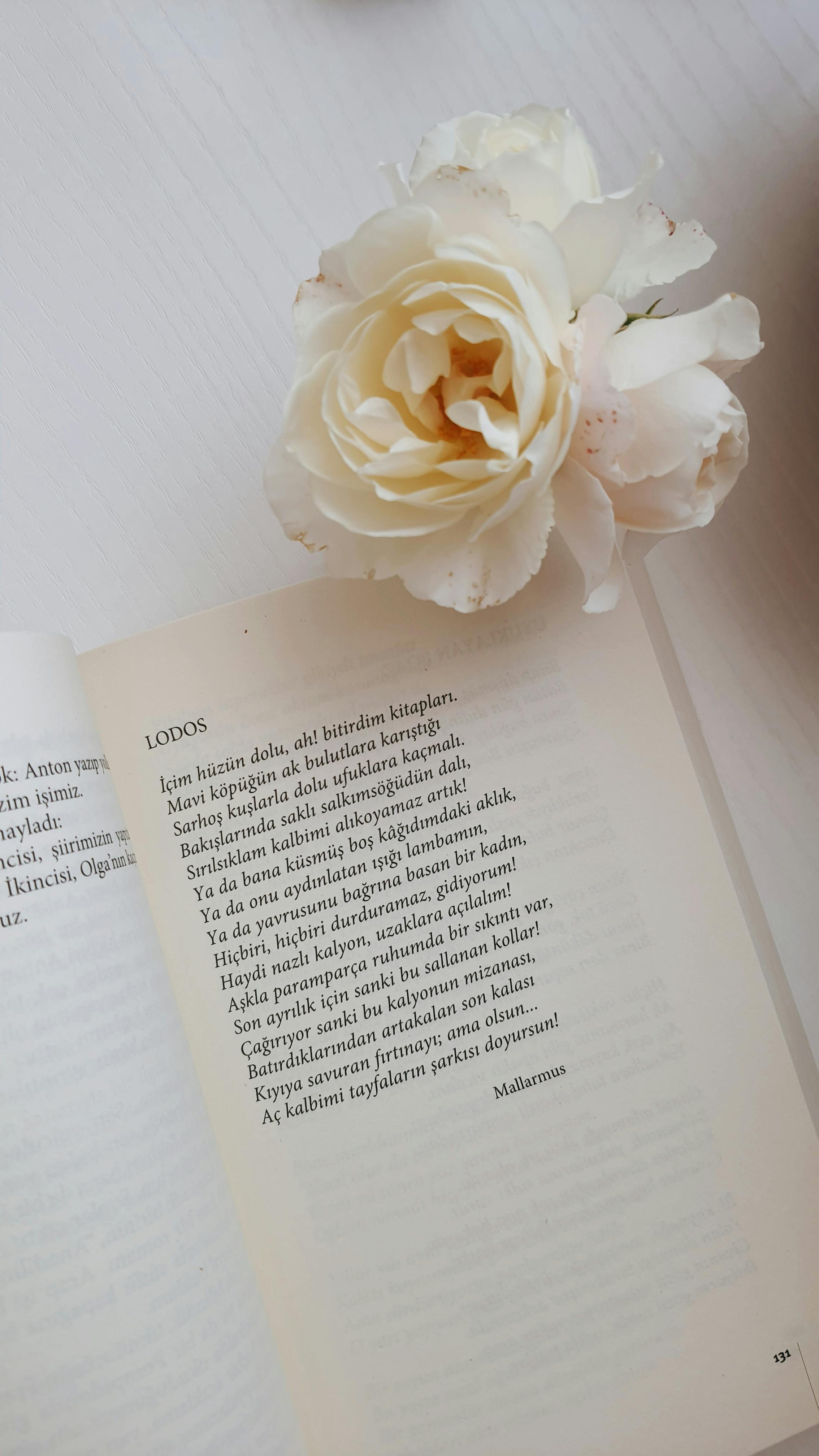 Elegant still life of an open book with a poem and a white rose on a light background.