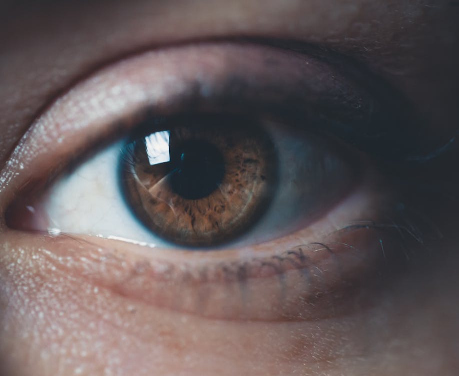 Free Human Eye Stock Photo