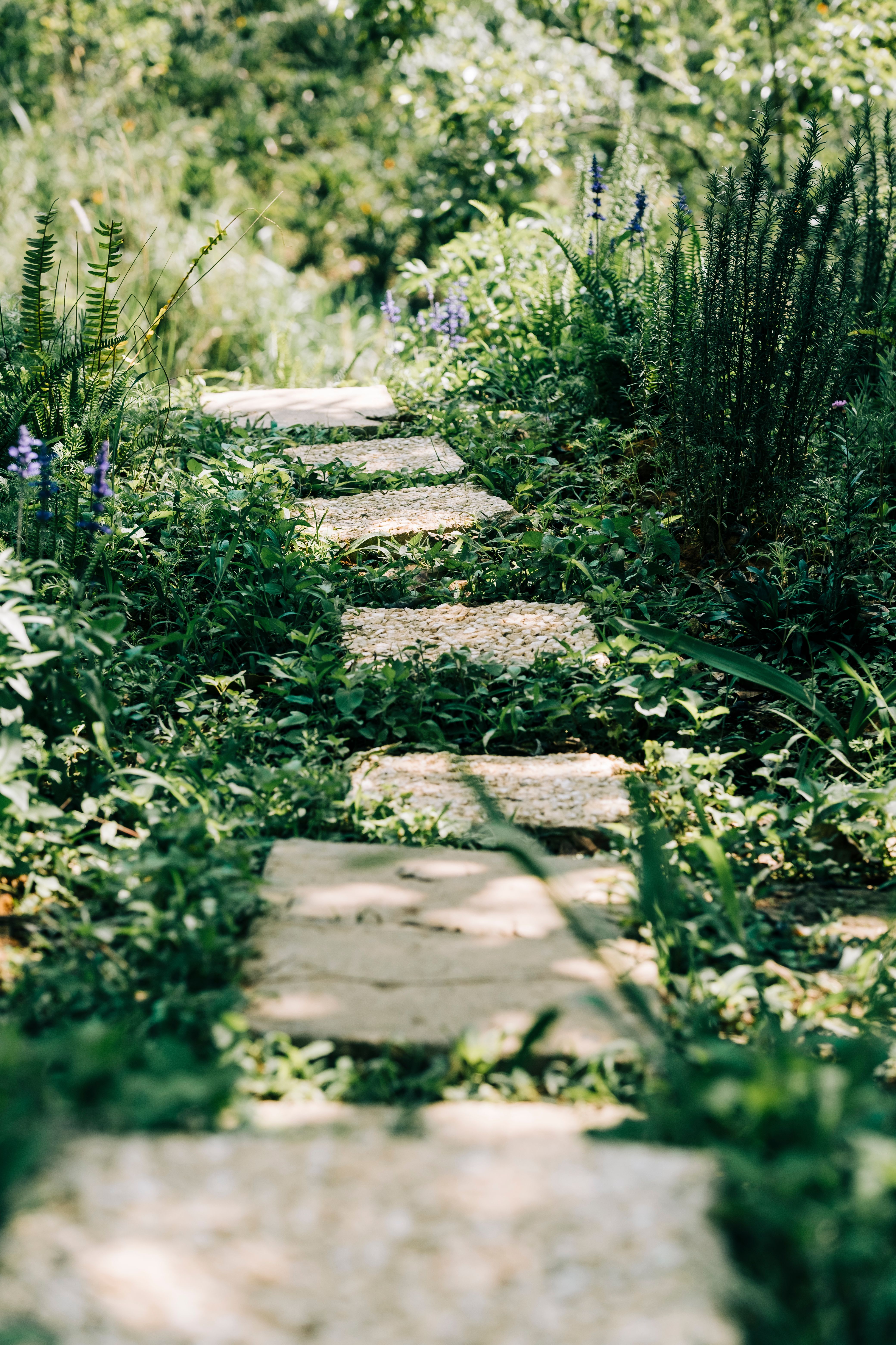 Stone paver walkway