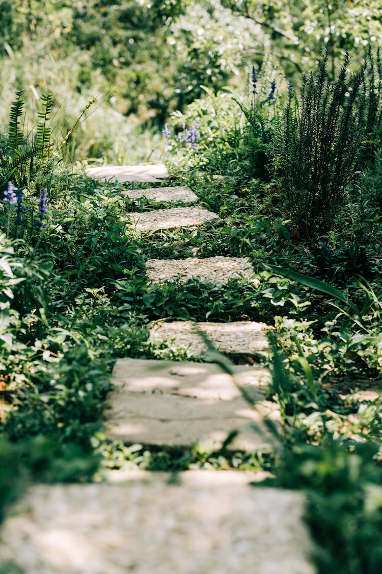 Close-up Of Concrete Tiles In The Garden