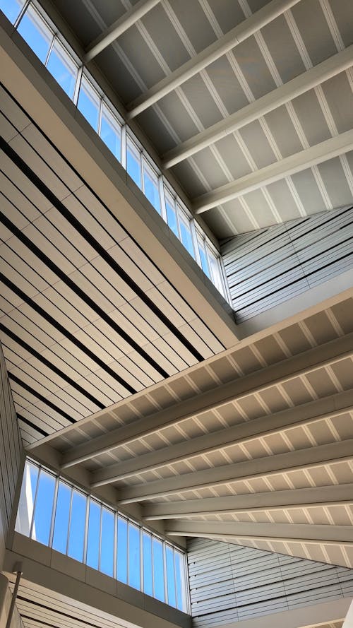 Windows and Ceiling in a Modern Building 