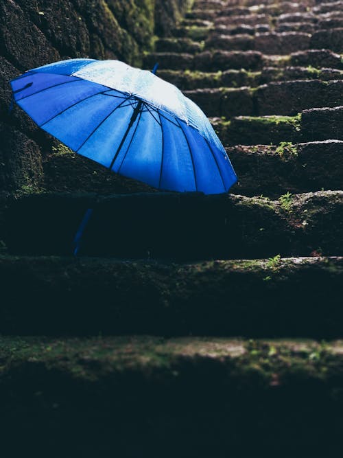 免费 黑色楼梯上的蓝色雨伞 素材图片