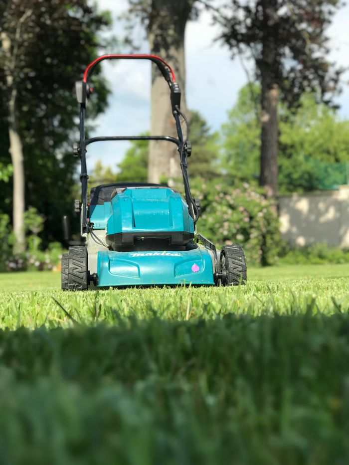 Mower on a freshly cut lawn