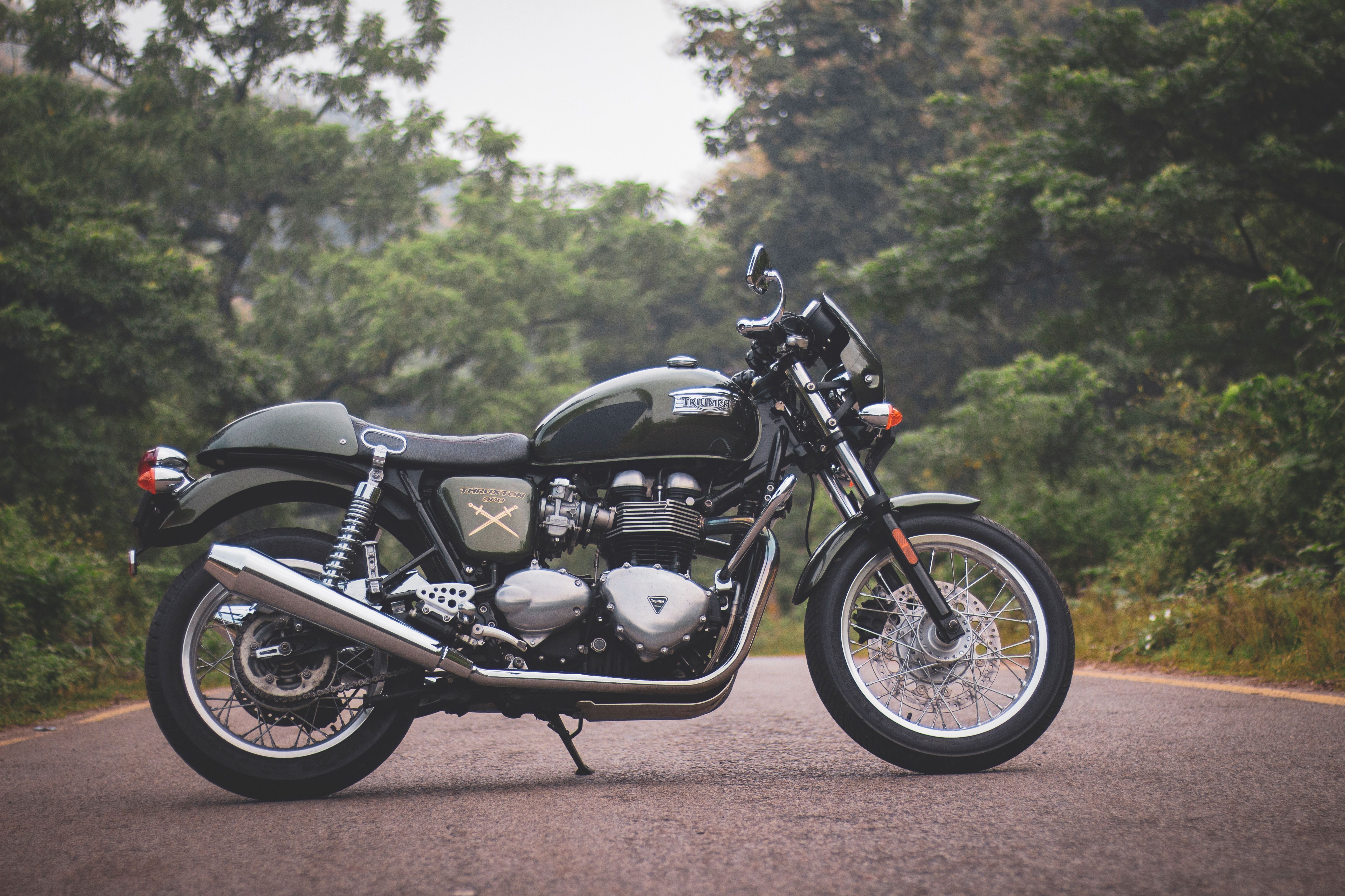 Classic Triumph motorcycle parked on a scenic forest road, showcasing vintage style and elegance.