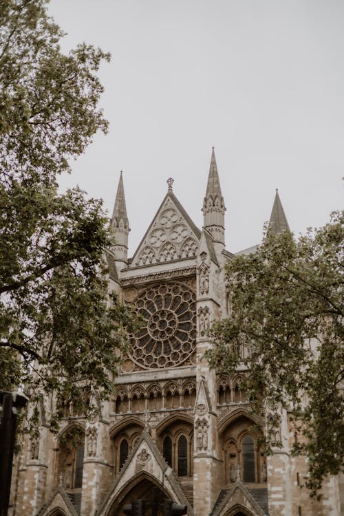 Foto d'estoc gratuïta de abadia de westminster, arquitectura gòtica, catedral