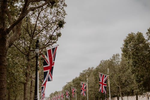 Trees and Flags over The Mall in London