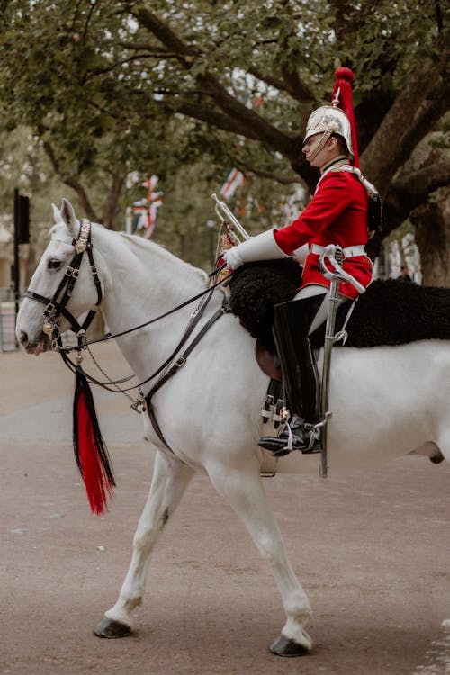 British Riding Guard Royal Guard Standing Near Lamp Post · Free Stock Photo