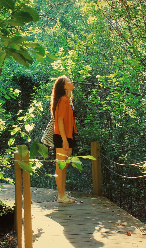 Free A young woman stands on a wooden bridge, surrounded by lush greenery, in a sunlit forest in Muğla, Türkiye. Stock Photo